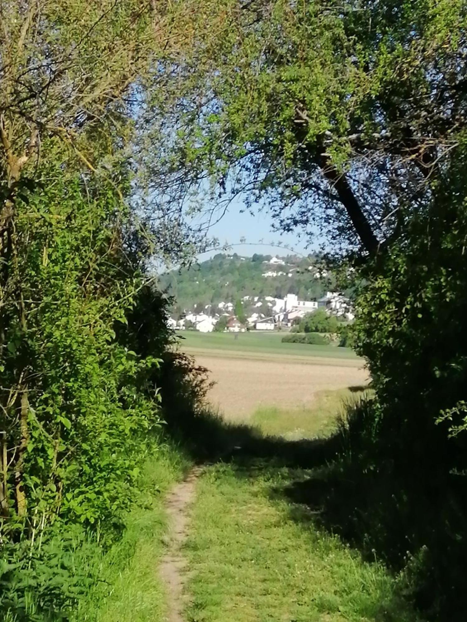 Ferienwohnungen Stark Kelheim Exterior foto